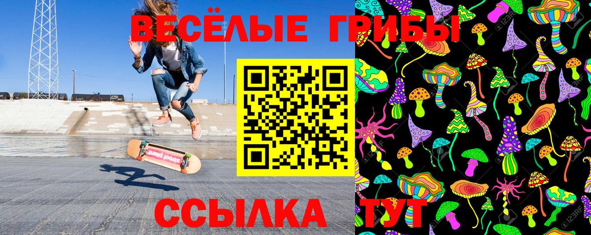 Псилоцибиновые грибы MAGIC MUSHROOMS Новокузнецк