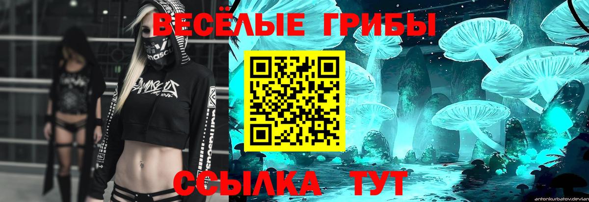 Псилоцибиновые грибы мицелий  Вход с VPN  Псилоцибиновые грибы MAGIC MUSHROOMS  Новокузнецк 